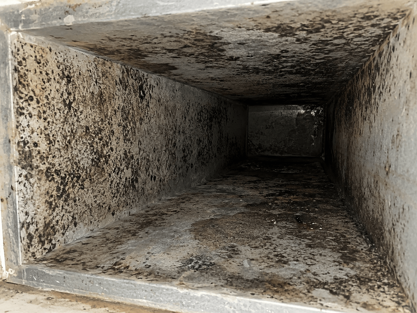 HVAC ductwork with heavy mold contamination before professional mold removal